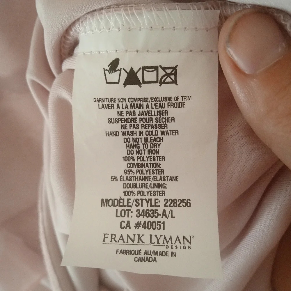 Frank Lyman Montreal Blush Pink Shift Dress Chiffon Overlay Size 6 NWT - Picture 7 of 8